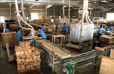 Les exportations de bois cherchent à saisir les opportunités offertes par les ALE