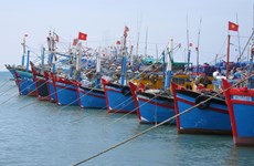 Pêche INN: Ben Tre déterminée à lever le carton jaune de la Commission européenne