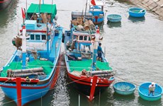 Pêche : le volume de produits aquatiques exploités estimé à 566.700 tonnes au 1er trimestre