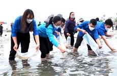 Quang Ninh lâche 2,3 millions d'alevins de poisson dans la baie de Bai Tu Long