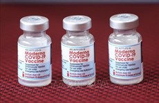 COVID-19: le vaccin Spikevax (Moderna) approuvé pour vacciner les enfants de 6 à moins de 12 ans