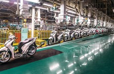 Honda Vietnam: forte hausse des ventes de motos et de voitures en mars