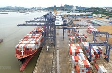 Le Vietnam mobilise des capitaux d'investissement pour développer sa flotte de conteneurs