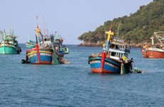 Kien Giang et Ca Mau coopèrent pour lutter contre la pêche illégale, non déclarée et non réglementée