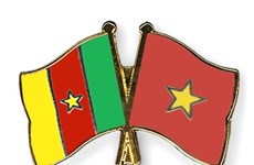 Message de félicitations à l'occasion des 50 ans des relations Vietnam-Cameroun