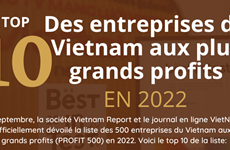 Top 10 des entreprises du Vietnam aux plus grands profits en 2022