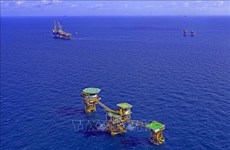 Vietsovpetro salue le premier flux de pétrole de la plate-forme d'exploitation Ca Tam 2