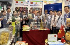 Dak Lak présente ses produits à la Foire commerciale internationale de l’Inde