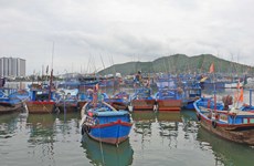 Le secteur de surveillance des ressources halieutiques s'efforce de lutter contre la pêche INN