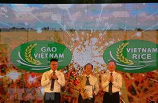 Ouverture du 3e Festival du riz du Vietnam à Long An