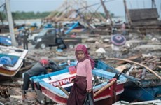 La Nouvelle-Zélande accorde un million de dollars au redressement indonésien après le tsunami