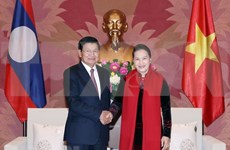 L’Assemblée nationale vietnamienne soutient la coopération gouvernementale Vietnam-Laos