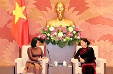 Vietnam-Cambodge : intensification des relations entre organes législatifs 