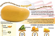 Exportation du premier lot de mangues fraîches vietnamiennes aux États-Unis