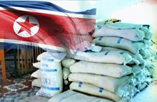 Le Vietnam aux côtés des victimes nord-coréens de catastrophes naturelles