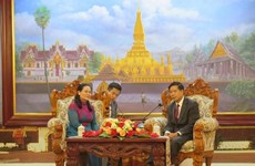 Une délégation de Ho Chi Minh-Ville en visite au Laos