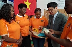 Le Vietnam participe à la foire internationale FACIM 2019 au Mozambique