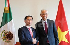 Vietnam-Mexique : La 5e consultation politique entre les ministères des Affaires étrangères