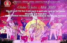 Rencontre printanière avec les Viêt kiêu et les étrangers à Thai Nguyên