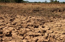 La sécheresse frappe la production agricole au Cambodge