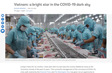 Banque mondiale: le Vietnam - une étoile brillante dans le ciel sombre du COVID-19