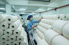 Les tissus vietnamiens exportés en Indonésie sont exonérés des nouveaux droits douaniers