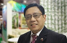 Les Philippines apprécient les efforts du Vietnam à la présidence 2020 de l’ASEAN  