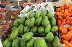 La mangue verte du Vietnam est bien appréciée en Australie