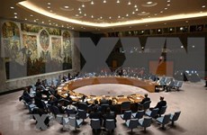 Conseil de sécurité: le Vietnam appelle au respect des accords déjà conclus au Sahara Occidental