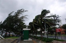 Le typhon Molave frappe Quang Nam et Da Nang