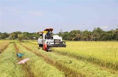 Des entreprises australiennes souhaitent investir dans l'agritech au Vietnam