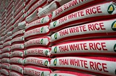 Exportations thaïlandaises de riz en baisse de 21% au premier semestre