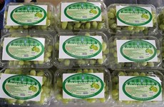 Les raisins verts de Ninh Thuan sont vendus sur la plate-forme d'e-commerce Sendo