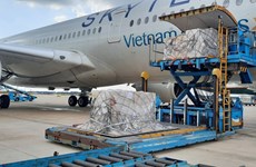 COVID-19 : plus de 203.000 kits de test rapide d'Allemagne arrivent au Vietnam 