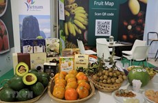 Des fruits du Vietnam présentés au salon Macfrut 2021 en Italie