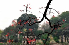 Le Vieux quartier de Hanoï vise à être reconnu par l’UNESCO