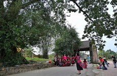 Délices à ne pas manquer dans l'ancien village de Duong Lam