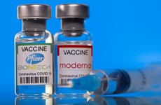 COVID-19 : Deux types de vaccins autorisés pour les jeunes de 12 à 17 ans