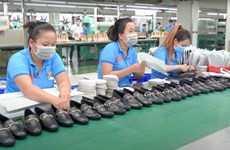 Chaussures: un projet sud-coréen de 22 millions de dollars autorisé à Dak Lak