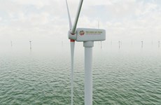 Un projet éolien de plus de 395 millions de dollars autorisé à Soc Trang
