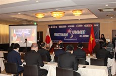 Des intellectuels vietnamiens au Japon discutent du développement national post-COVID-19