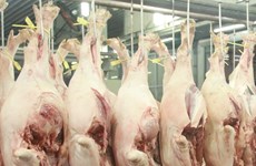 La Chine est le plus grand débouché de viande du Vietnam  ​