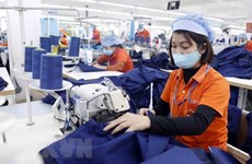 Les produits vietnamiens cherchent à mieux se vendre en Europe du Nord