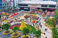 Têt: Des festivals floraux à Ho Chi Minh-Ville prêts à accueillir les visiteurs