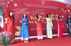 Des Vietnamiens à l'étranger fêtent le Nouvel An lunaire du Tigre 2022