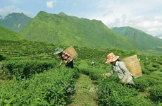 Le Vietnam s’efforce de réduire la pauvreté dans les zones montagneuses et reculées