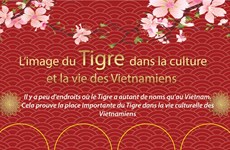 L’image du Tigre dans la culture  et la vie des Vietnamiens  
