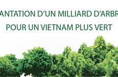 Plantation d’un milliard d’arbres  pour un vietnam plus vert