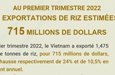 Au premier trimestre, les exportations de riz estimées à 715 millions de dollars