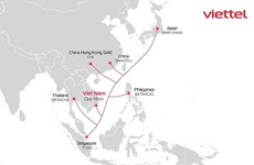 Le groupe Viettel annonce l'arrivée du câble sous-marin ADC
